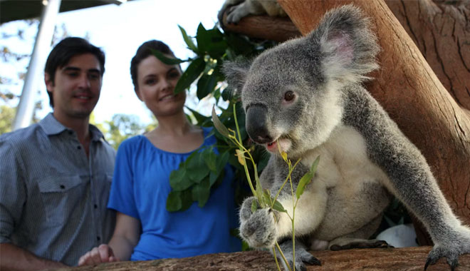 taronga zoo1