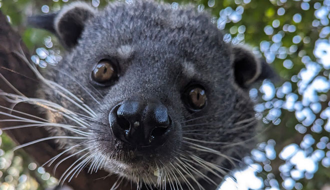 taronga zoo2