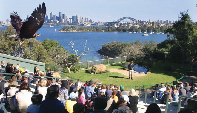 taronga zoo2