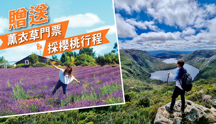 tas 5 day purple romance tour