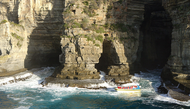 tasman island cruise web