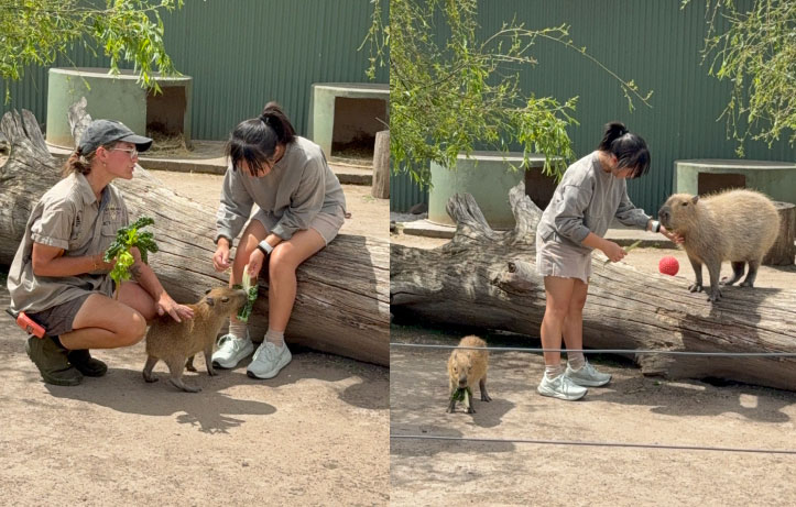 tasmania 5d premium tour1