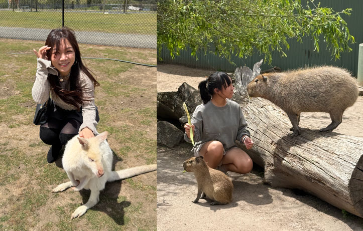 tasmania 5d premium tour2