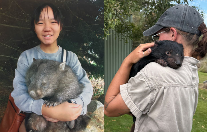 tasmania 5d premium tour3