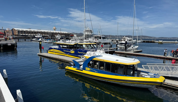 tasmanian seafood seduction1