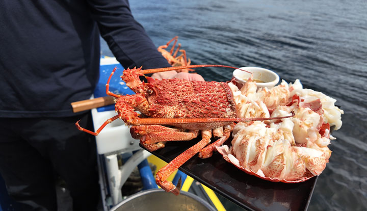 tasmanian seafood seduction3