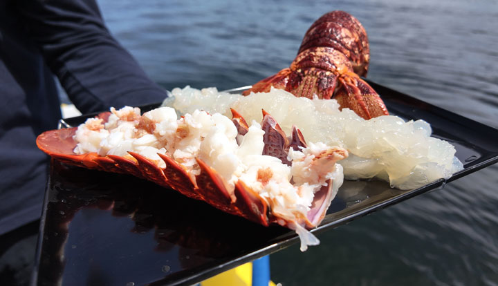 tasmanian seafood seduction4