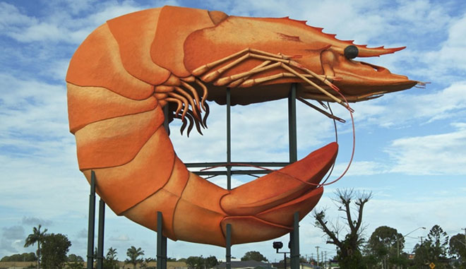 the big prawn