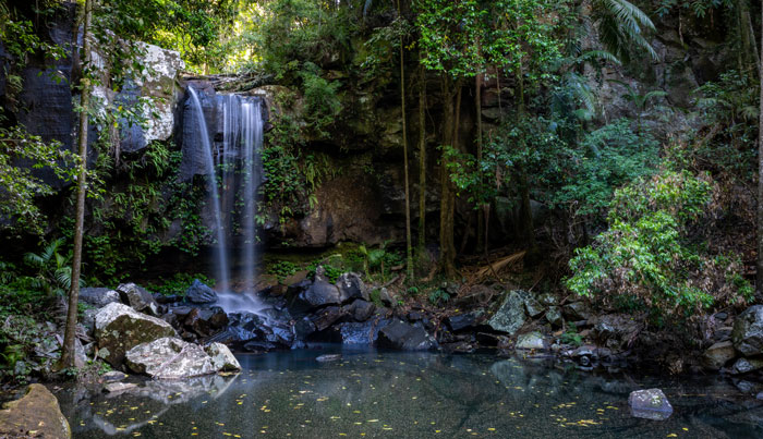 the tastes of tamborine mountain3