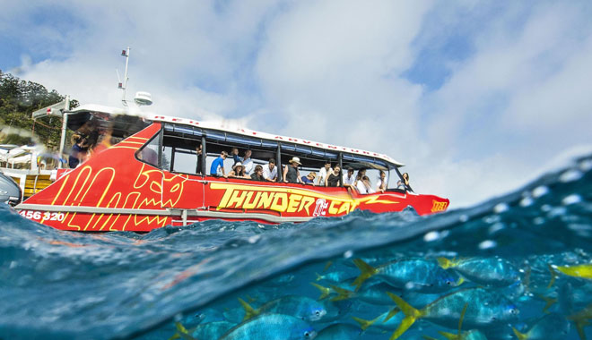 Red Cat Adventures Sales Kit   2023 2024.pptx