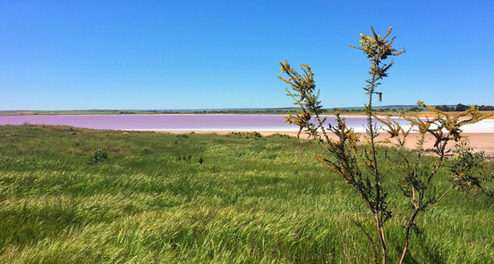 travel reports Lake Bumbunga 13