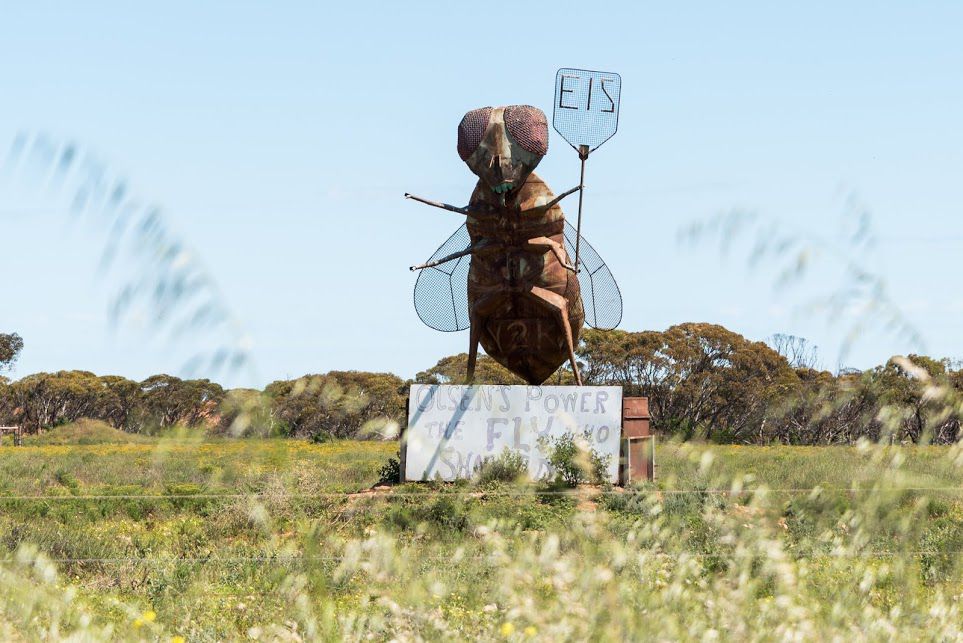 travel reports Lake Bumbunga 6