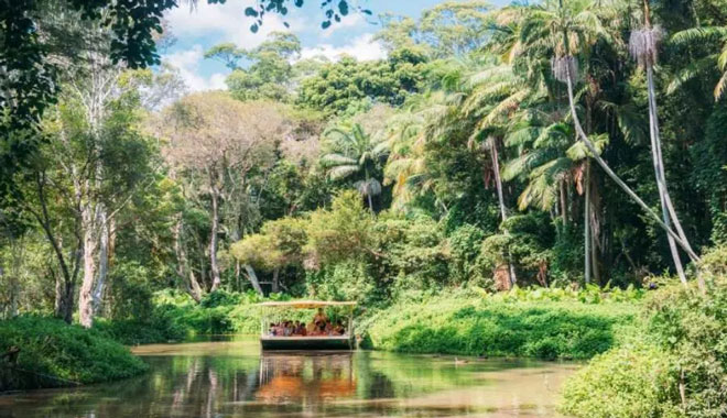 tropical fruit world 2510