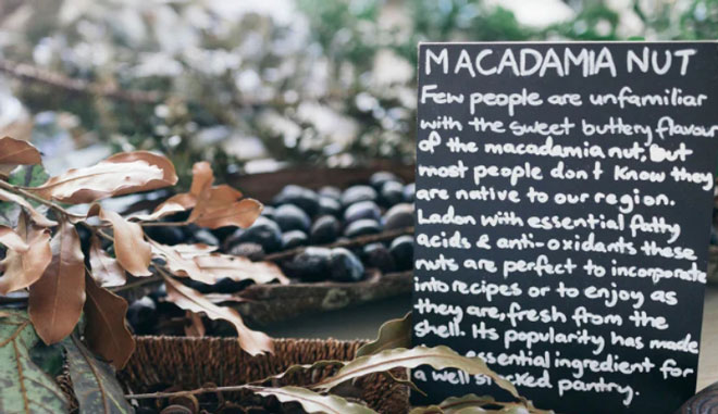 tropical fruit world WEB 002