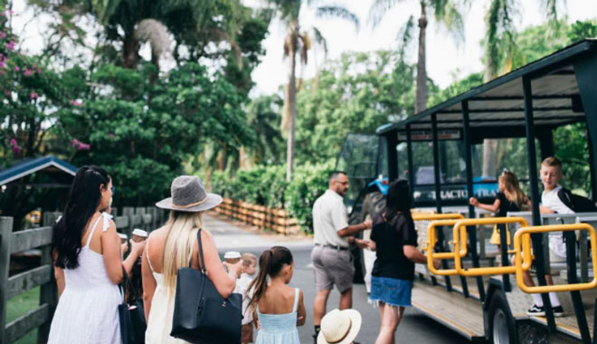 tropical fruit world WEB 005