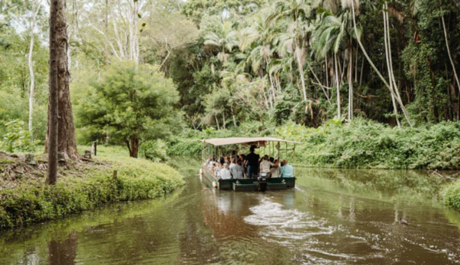 tropical fruit world WEB 009