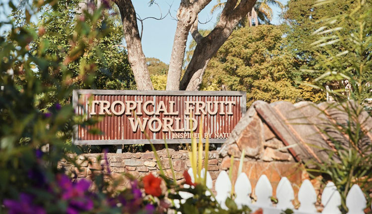 tropical fruit world images