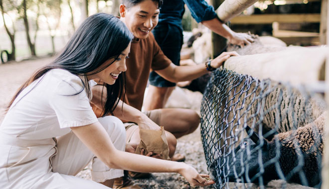 tropical fuirt world 006