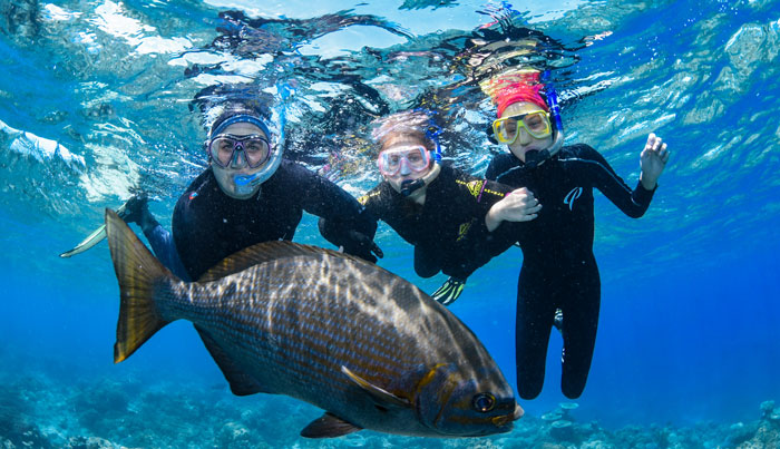 tusa reef tours 5