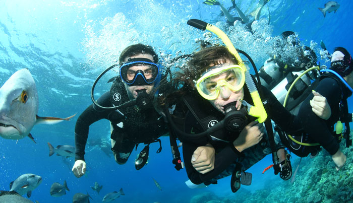 tusa reef tours 8