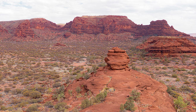 uluru 1002