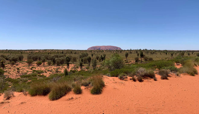uluru camel day 010