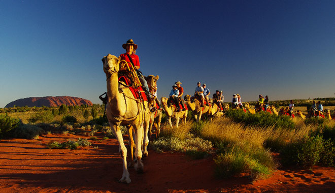 uluru camel tour sunset 001