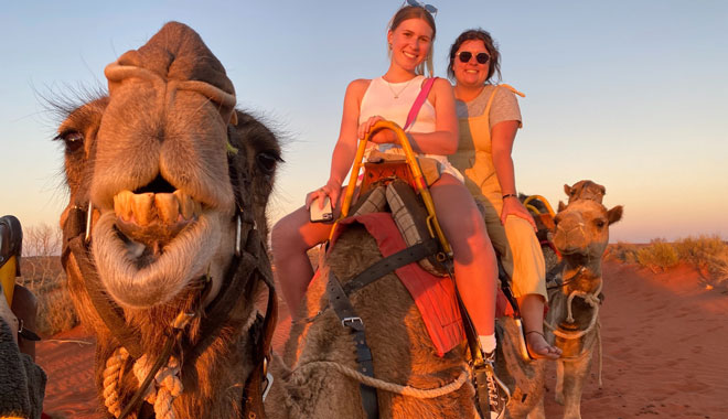 uluru camel tour sunset 002