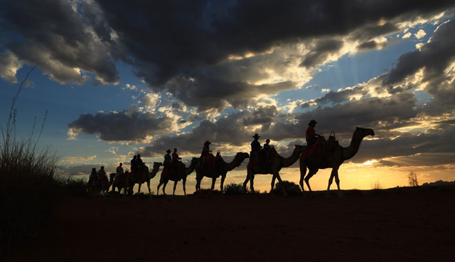uluru camel tour sunset 005