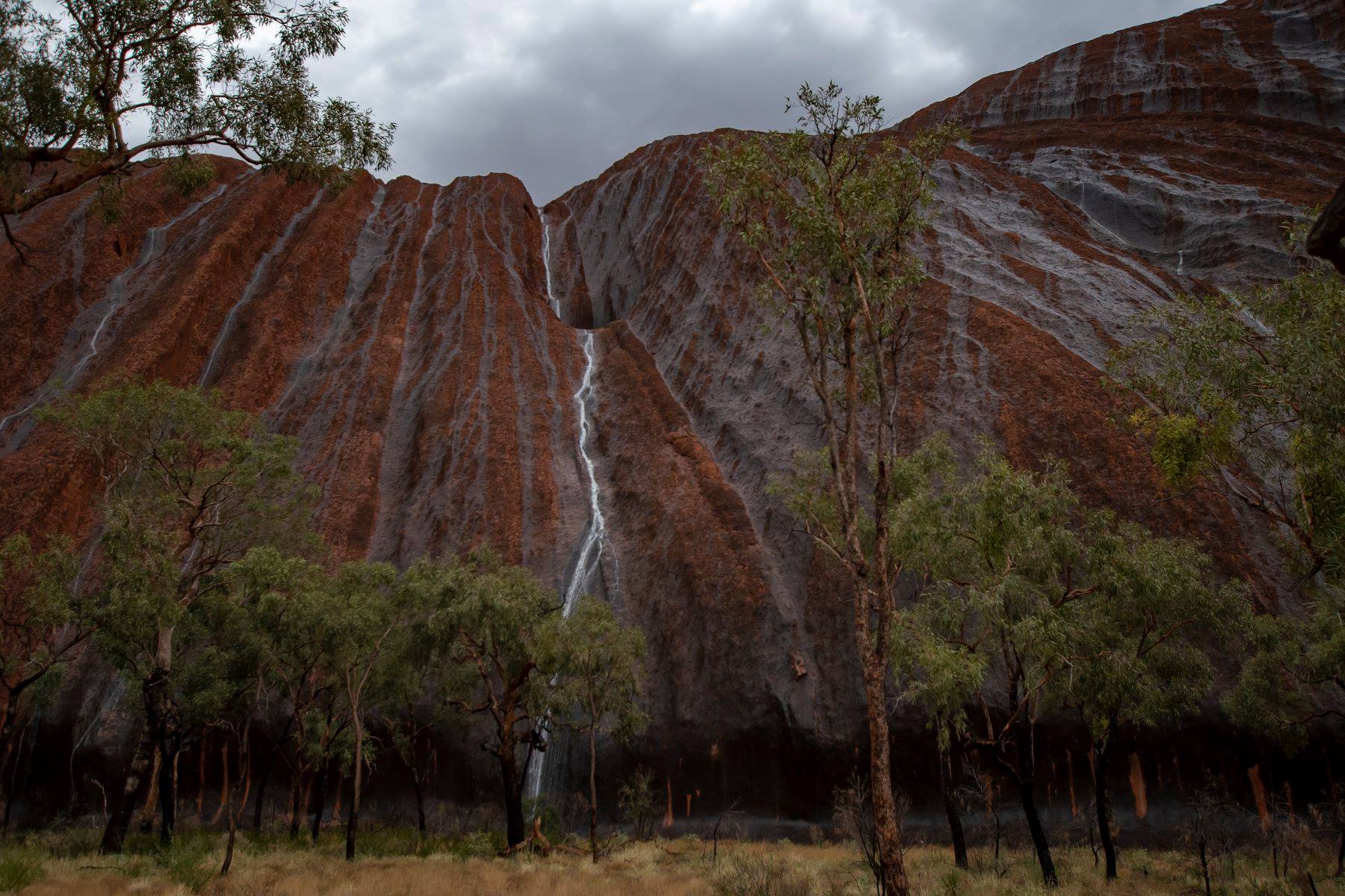 uluru rain
