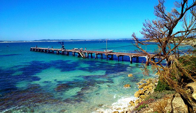 vivonne bay