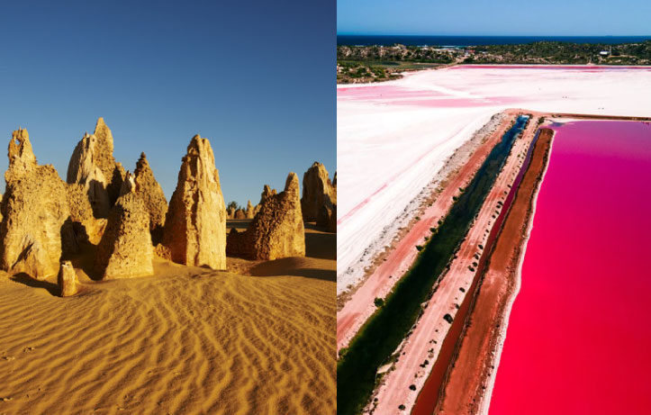 wa pink lake tour 2days chinese 15pax