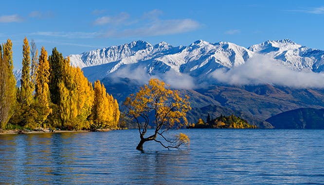 wanaka 2 jpg