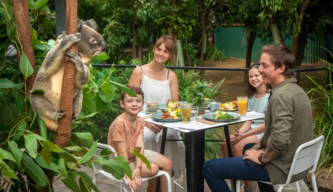 web Currumbin Koala Breakfast