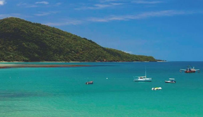 web Daintree Rainforest Cape Tribulation