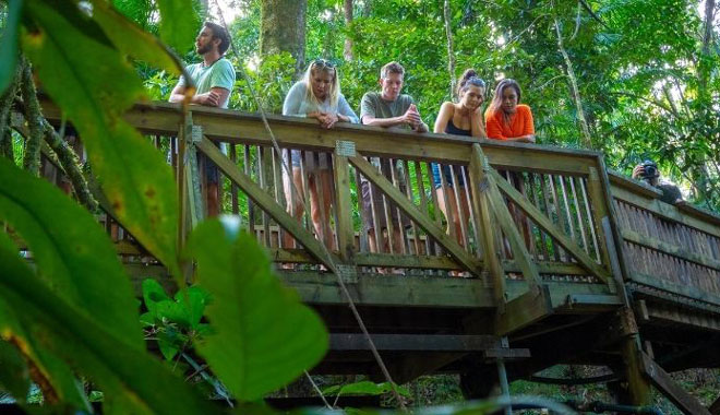 web Daintree Rainforest Tour Group
