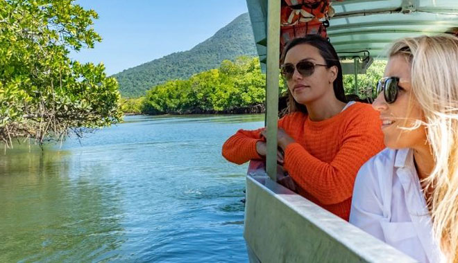 web Friends on Crocodile Adventure