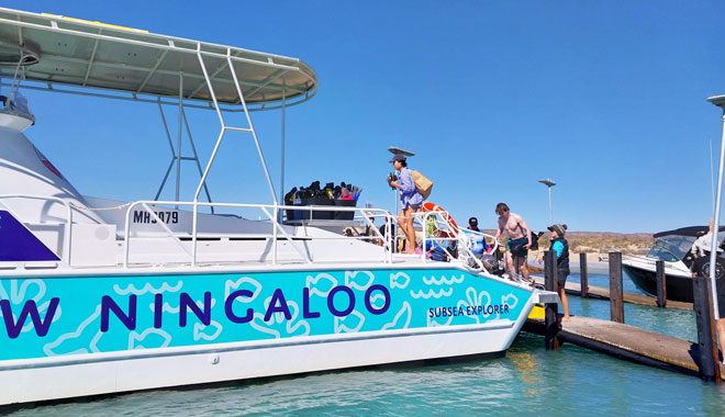 web Half Day Snorkel & Coral Viewing Exmouth West Australia 002