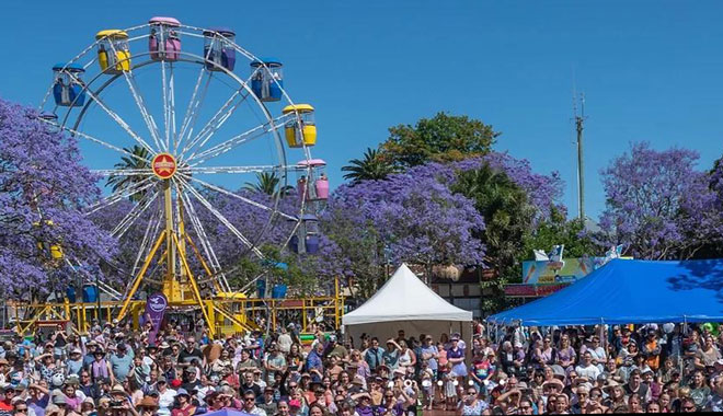 web  Jacaranda Grafton 8