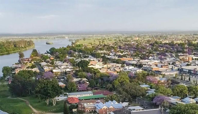 web Jacaranda Grafton8