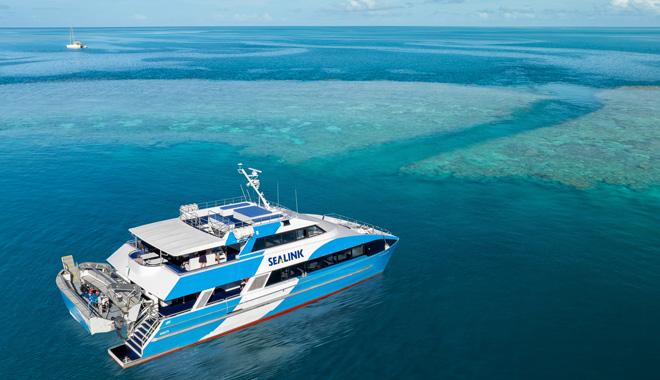 web REEF adventure