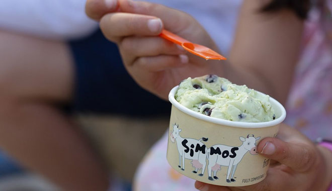 web Rottnest+Fast+Ferries+(Simmos) min