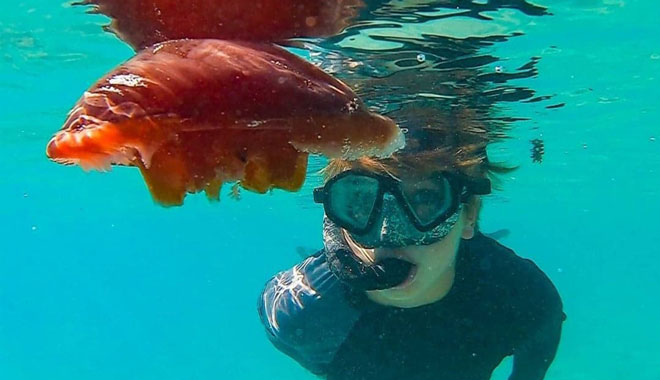 web View Ningaloo Coral Viewing & Snorkel Tour 2 Hours 6