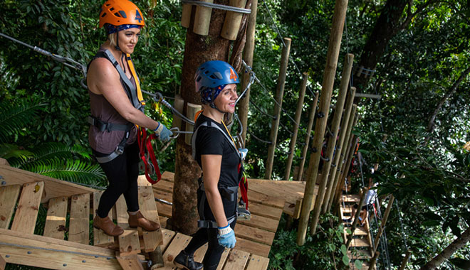 web ZIPLINE CANOPY TOUR Cape TRI