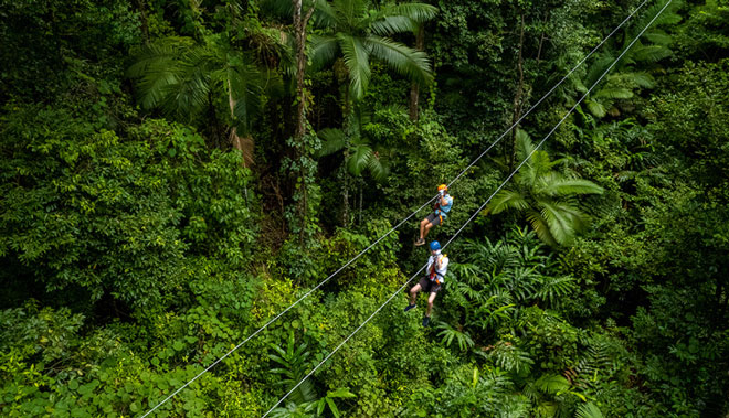 web ZIPLINE CANOPY TOUR cape tri 004