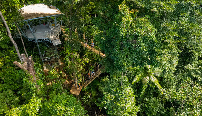 web ZIPLINE CANOPY TOUR