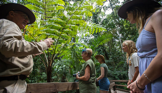 web billy tea 1 DAY DAINTREE RAINFOREST 01