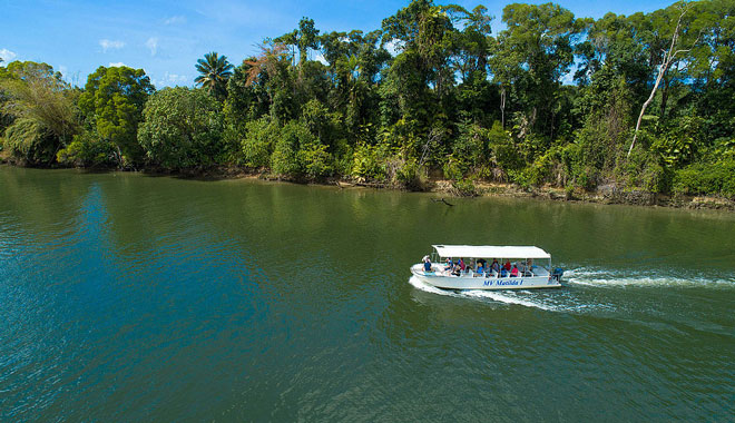 web billy tea 1 DAY DAINTREE RAINFOREST 04