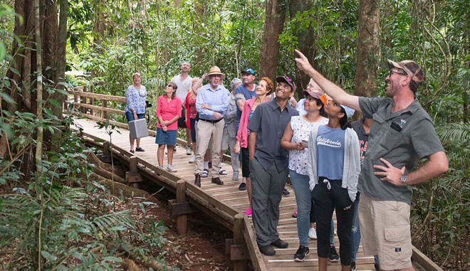 web billy tea 1 DAY DAINTREE RAINFOREST 06