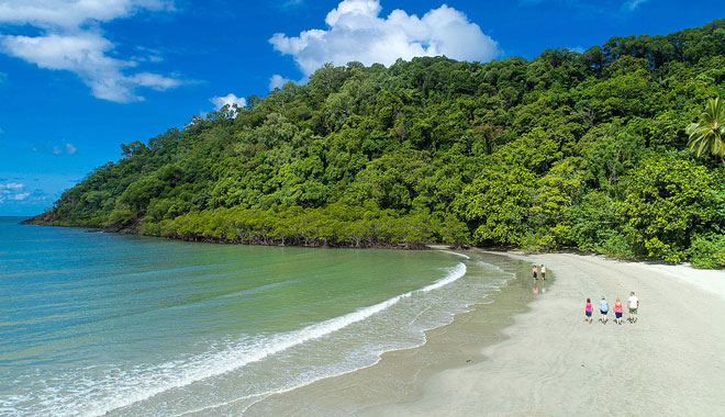 web billy tea 1 DAY DAINTREE RAINFOREST 09